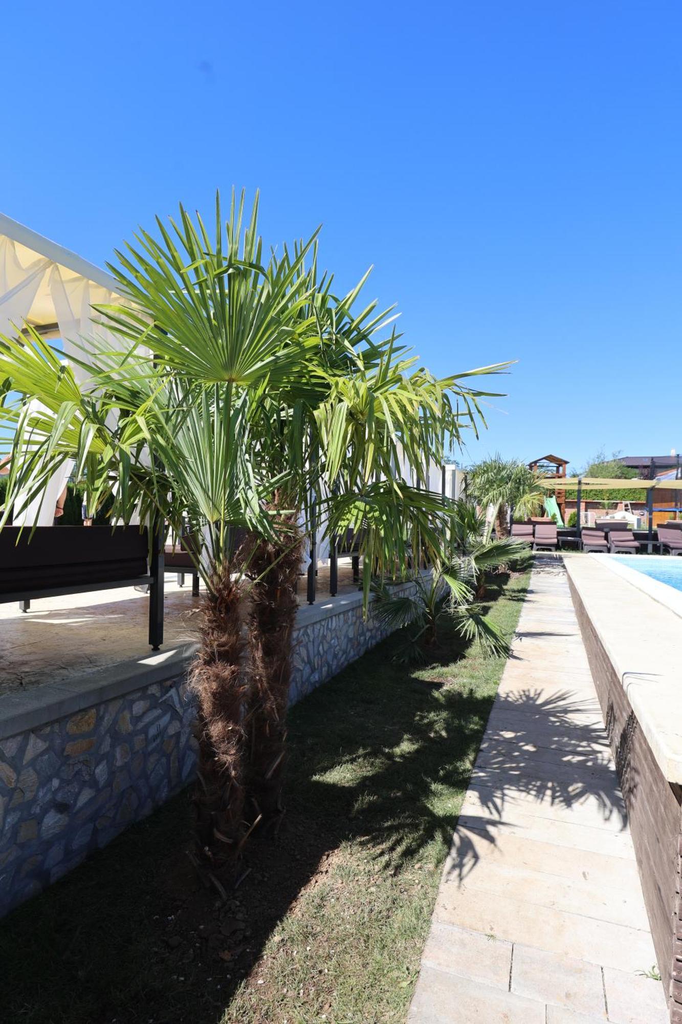 Alexander Resort Sopot Exterior photo